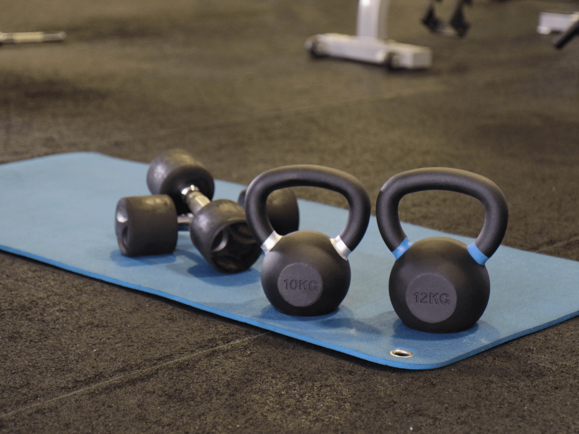 fitness la tour équipement poids fitness la tour équipement poids